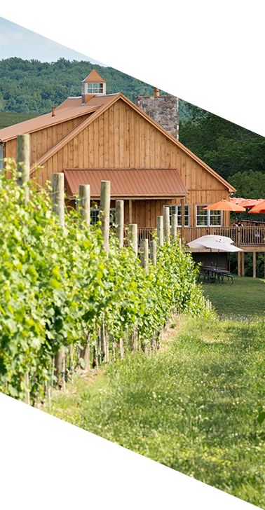 There is close access to local wineries in northern virginia near national landing.